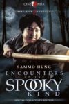 Plakat von "Encounter of the Spooky Kind II"