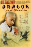 Plakat von "Dragon from Shaolin"