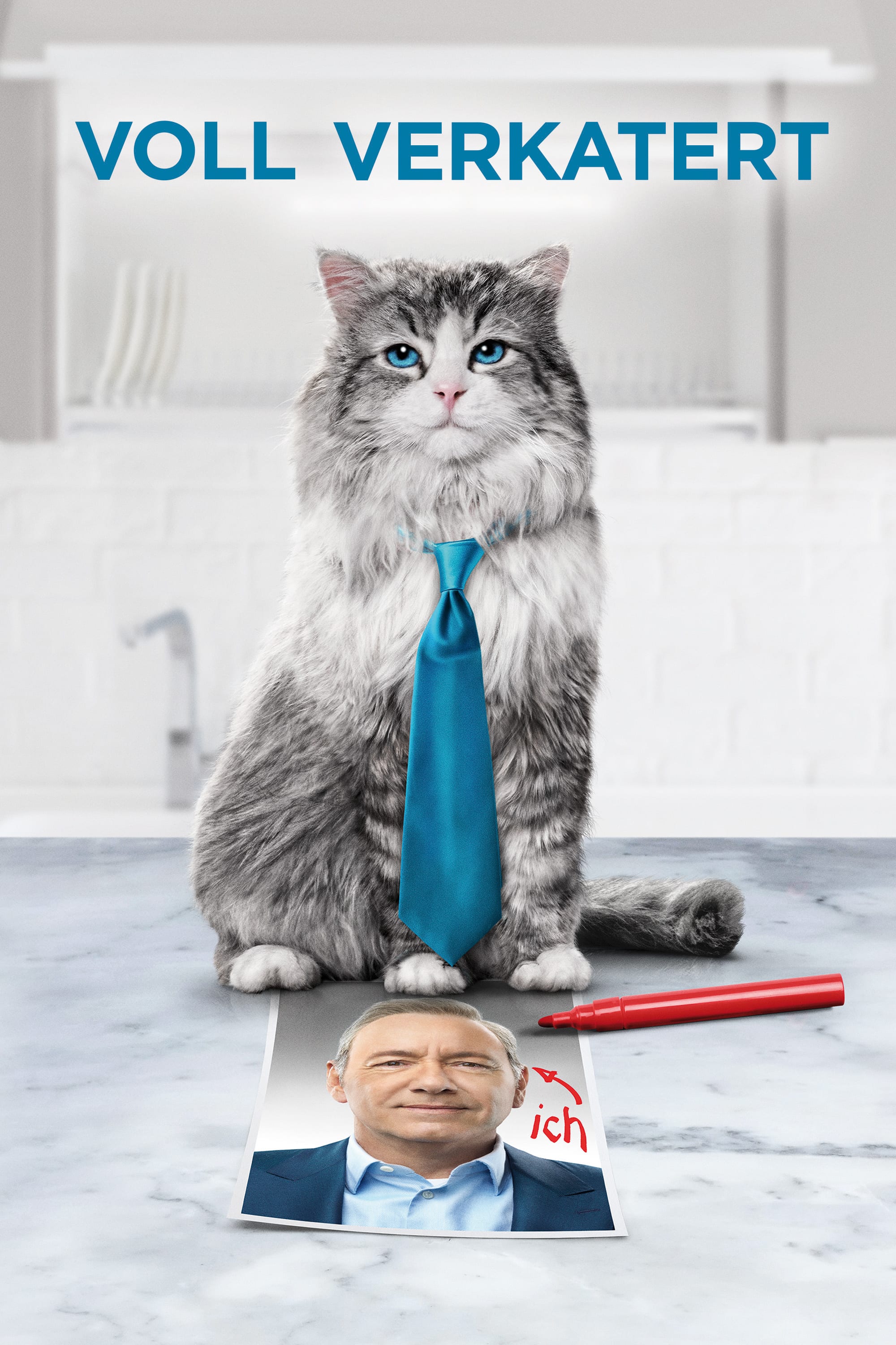 Plakat von "Voll verkatert"