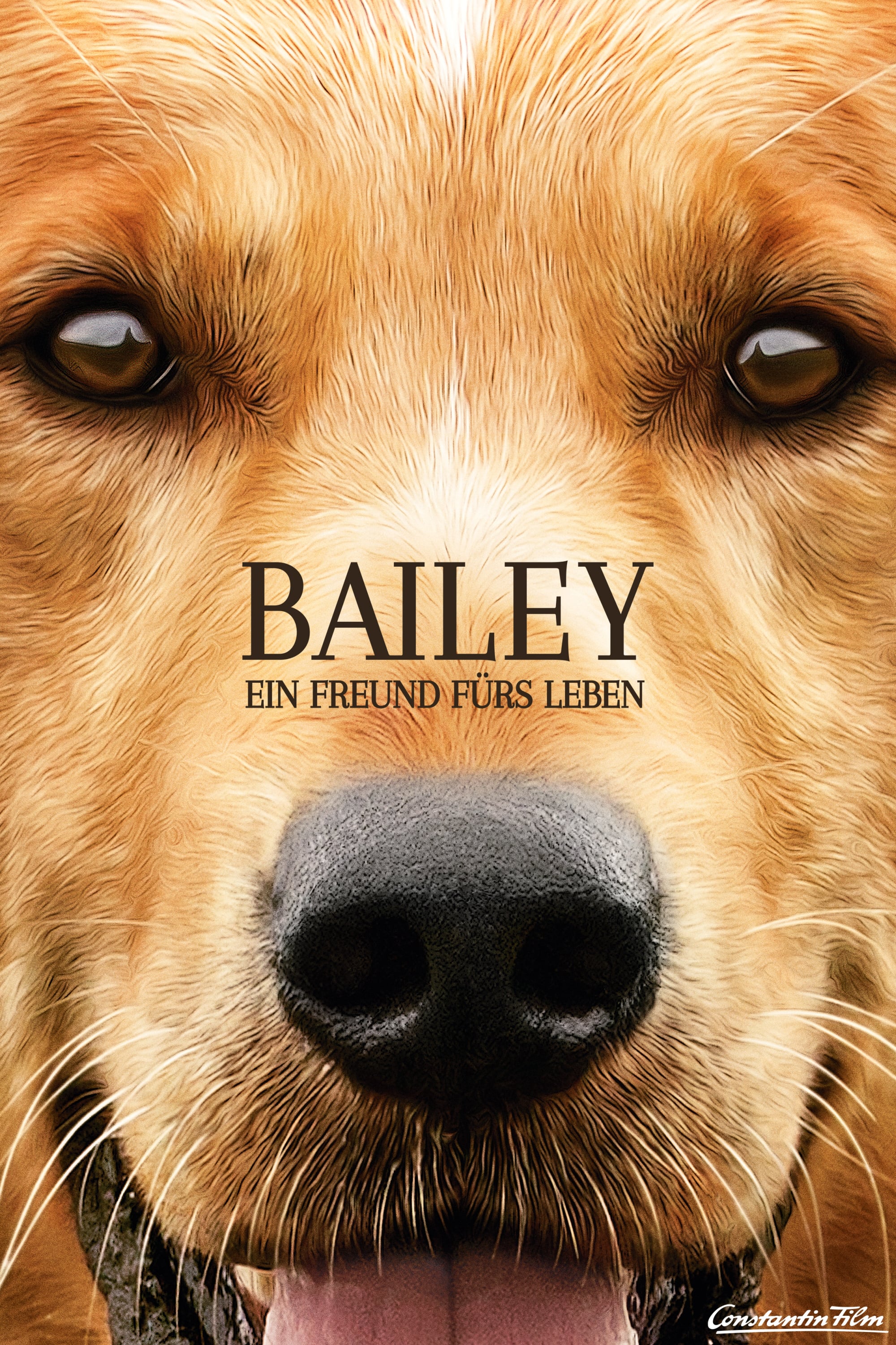 Plakat von "Bailey – Ein Freund fürs Leben"