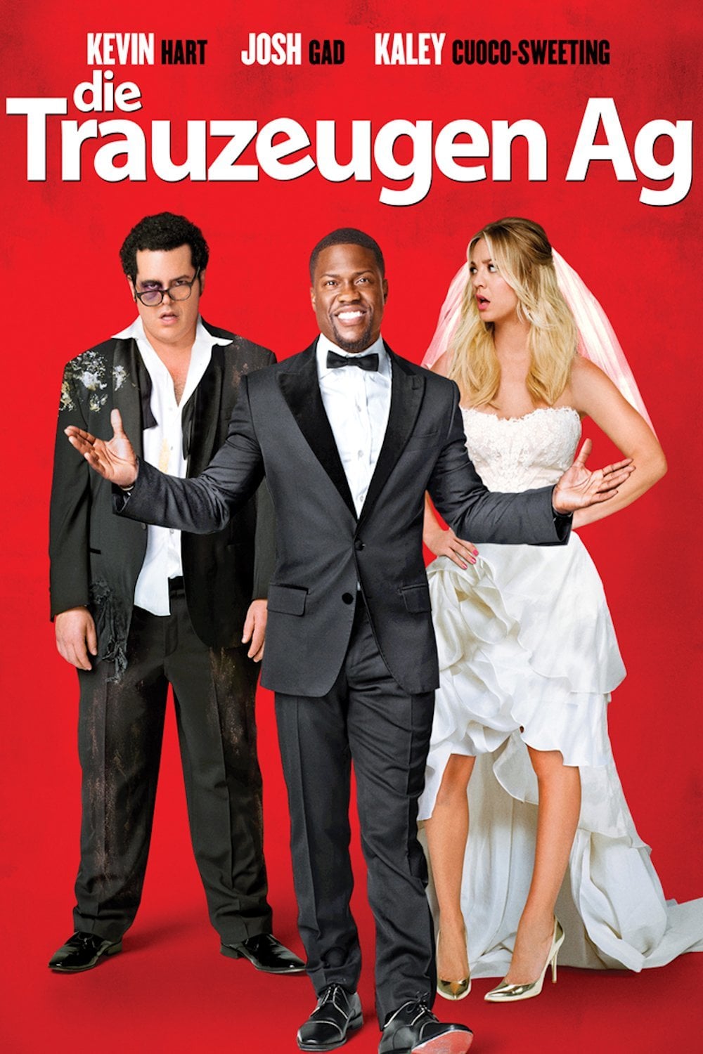 Plakat von "Die Trauzeugen AG"