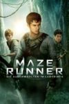 Plakat von "Maze Runner - Die Auserwählten im Labyrinth"