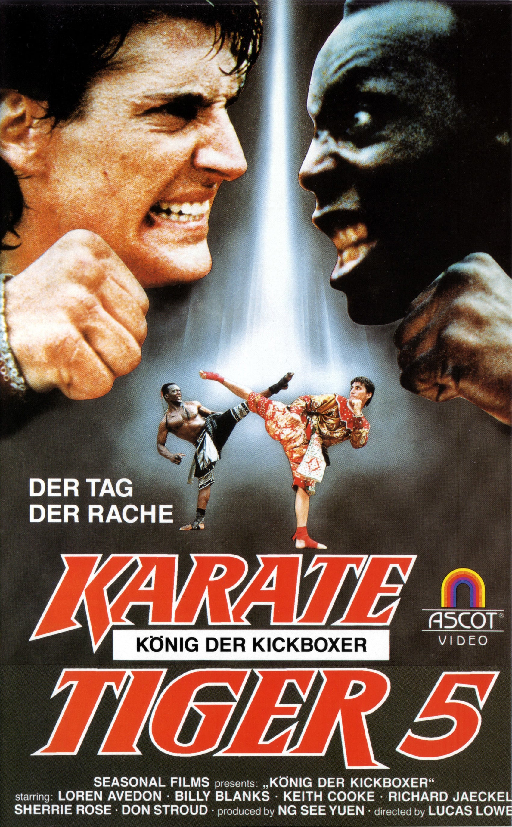 Plakat von "Karate Tiger 5 - König der Kickboxer"