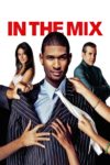 Plakat von "In the Mix - Willkommen in der Familie"
