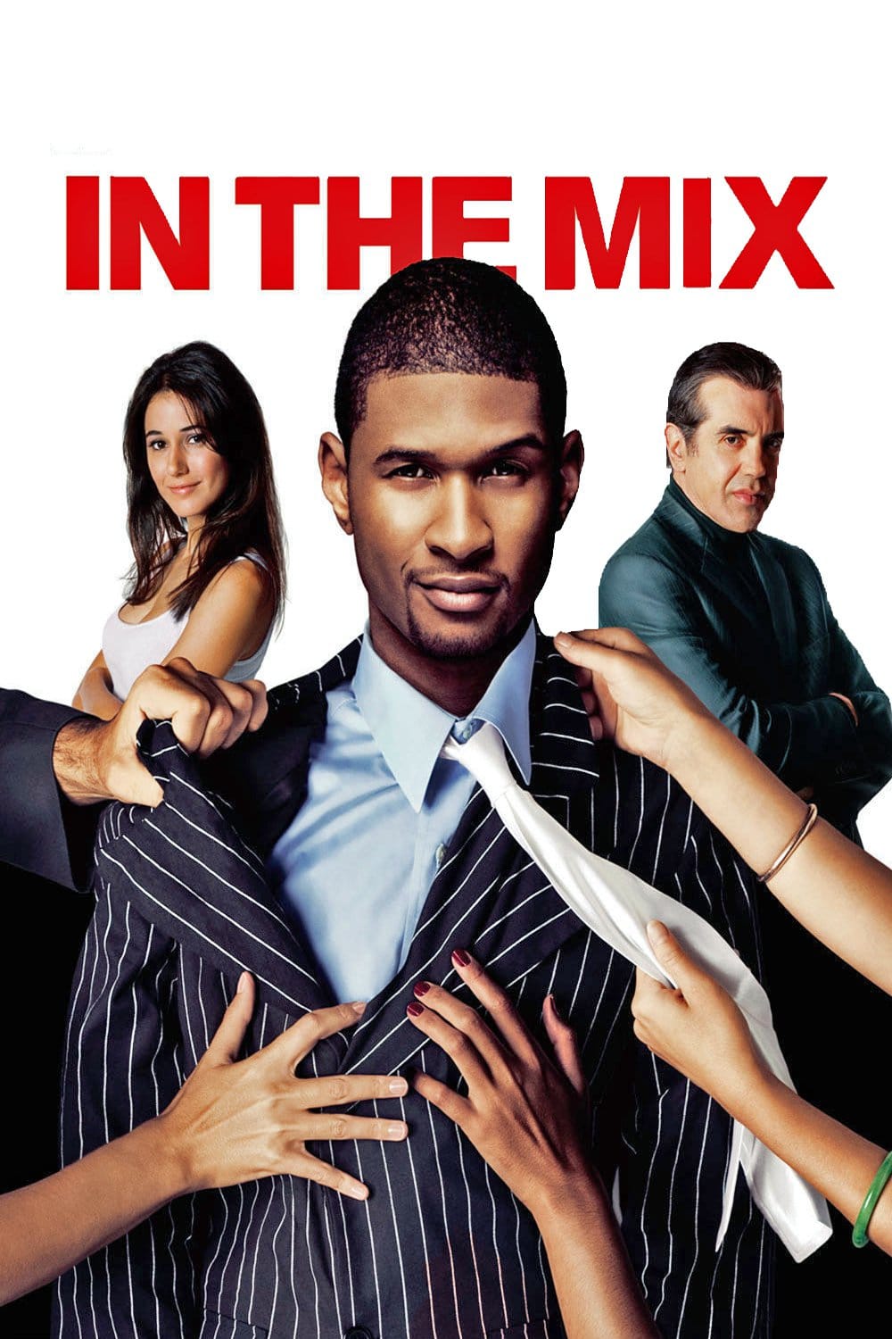 Plakat von "In the Mix - Willkommen in der Familie"