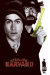 Plakat von "Schwere Jungs"