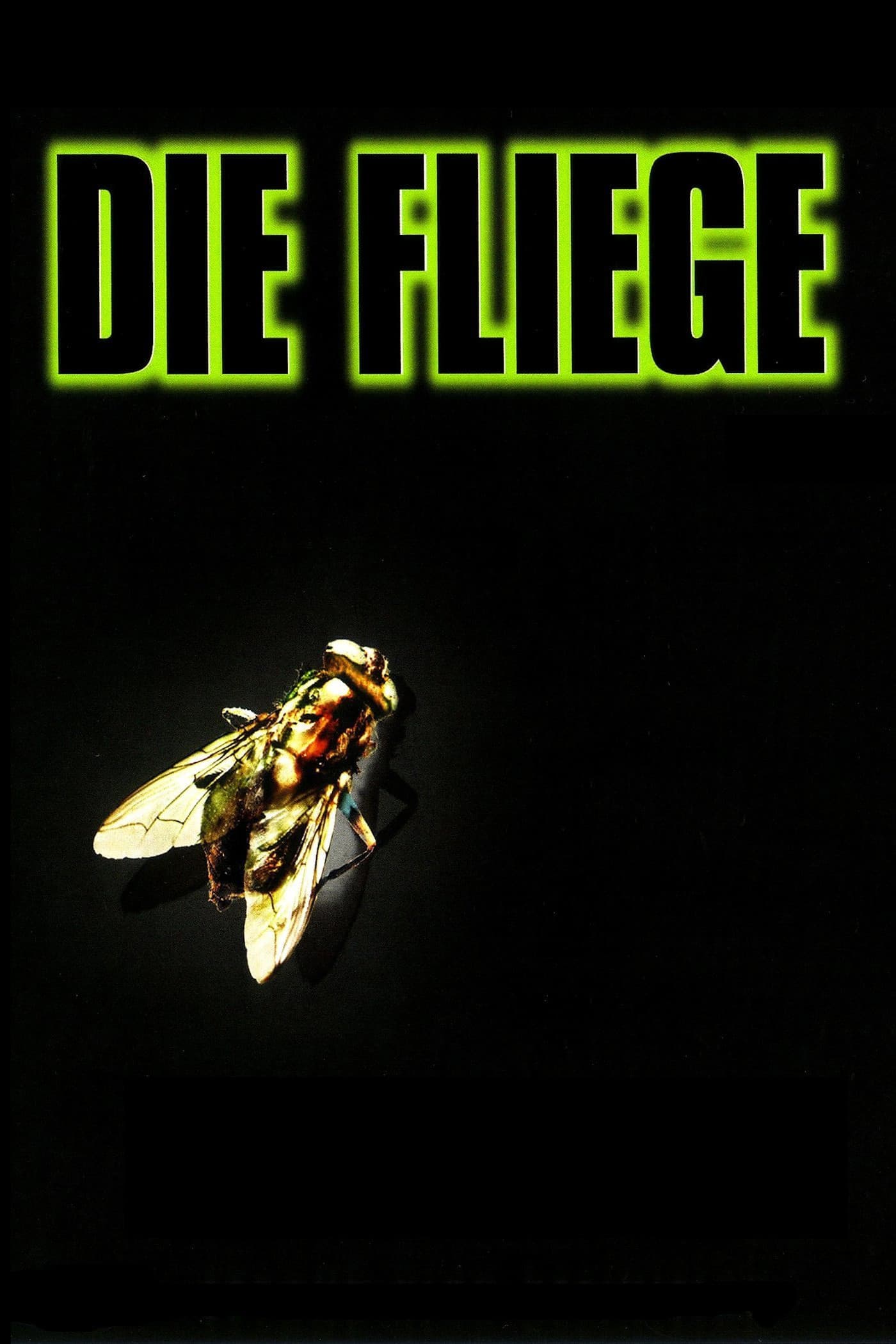 Plakat von "Die Fliege"