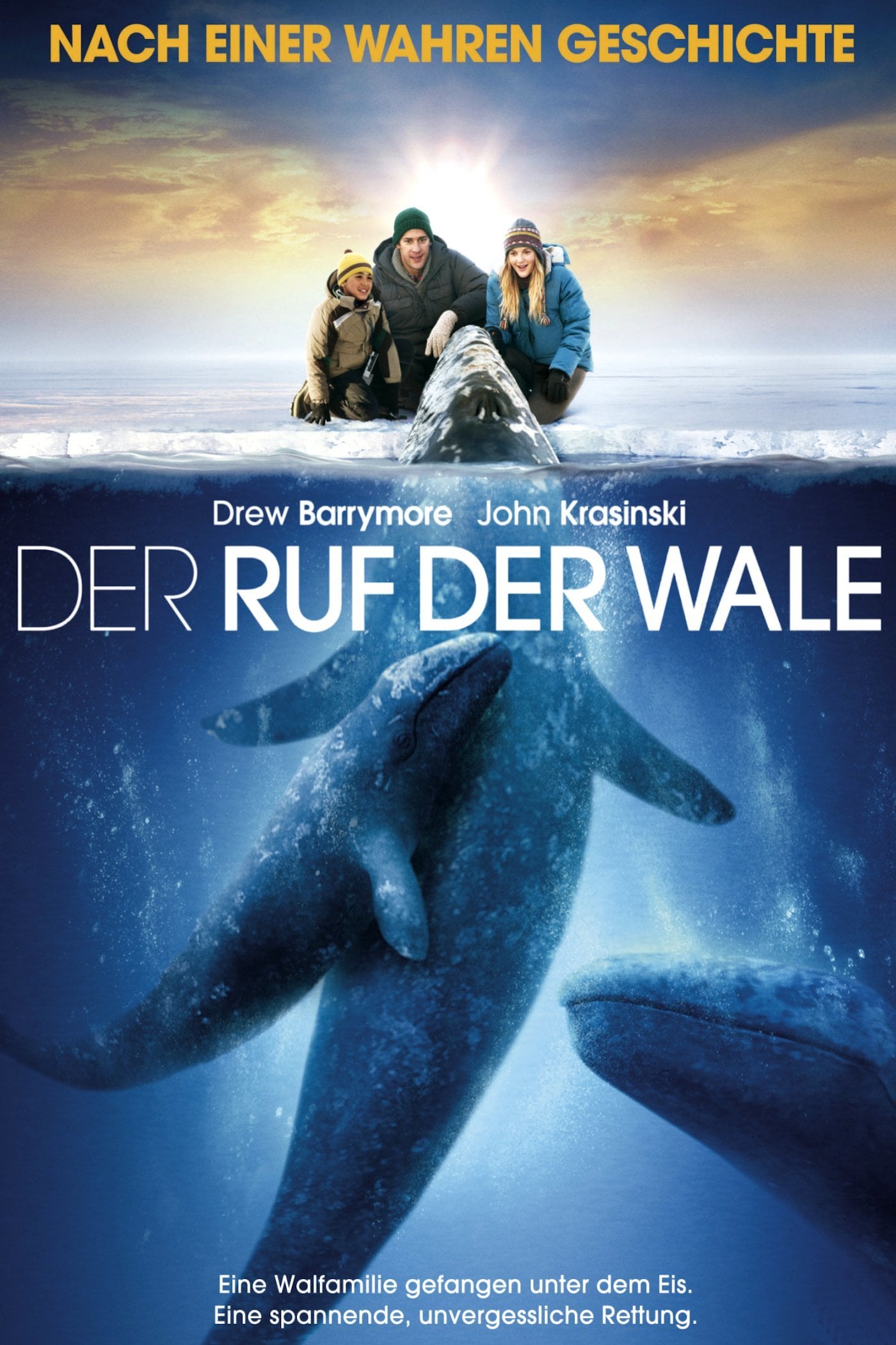 Plakat von "Der Ruf der Wale"