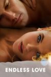 Plakat von "Endless Love"