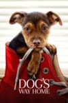 Plakat von "A Dog's Way Home"