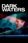 Plakat von "Dark Waters"