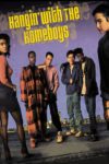 Plakat von "Hangin' With The Homeboys"