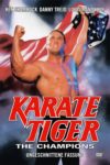 Plakat von "Karate Tiger – The Champions"