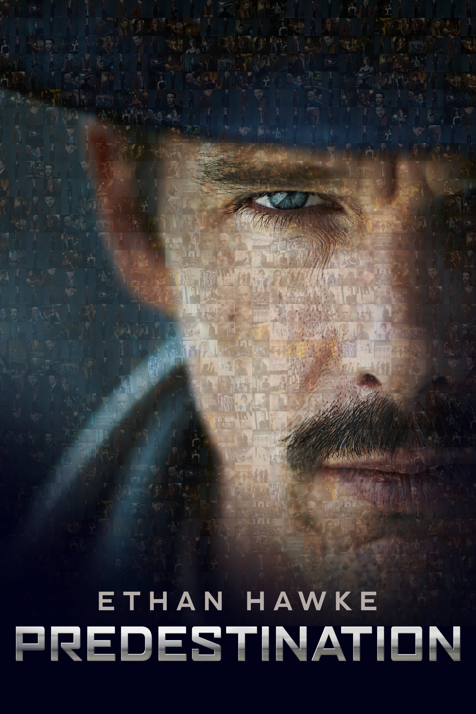 Plakat von "Predestination"