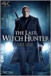 Plakat von "The Last Witch Hunter"
