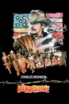 Plakat von "Der Grenzwolf"