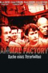 Plakat von "Animal Factory - Rache eines Verurteilten"