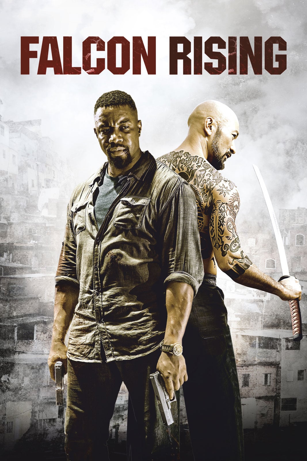 Plakat von "Falcon Rising"