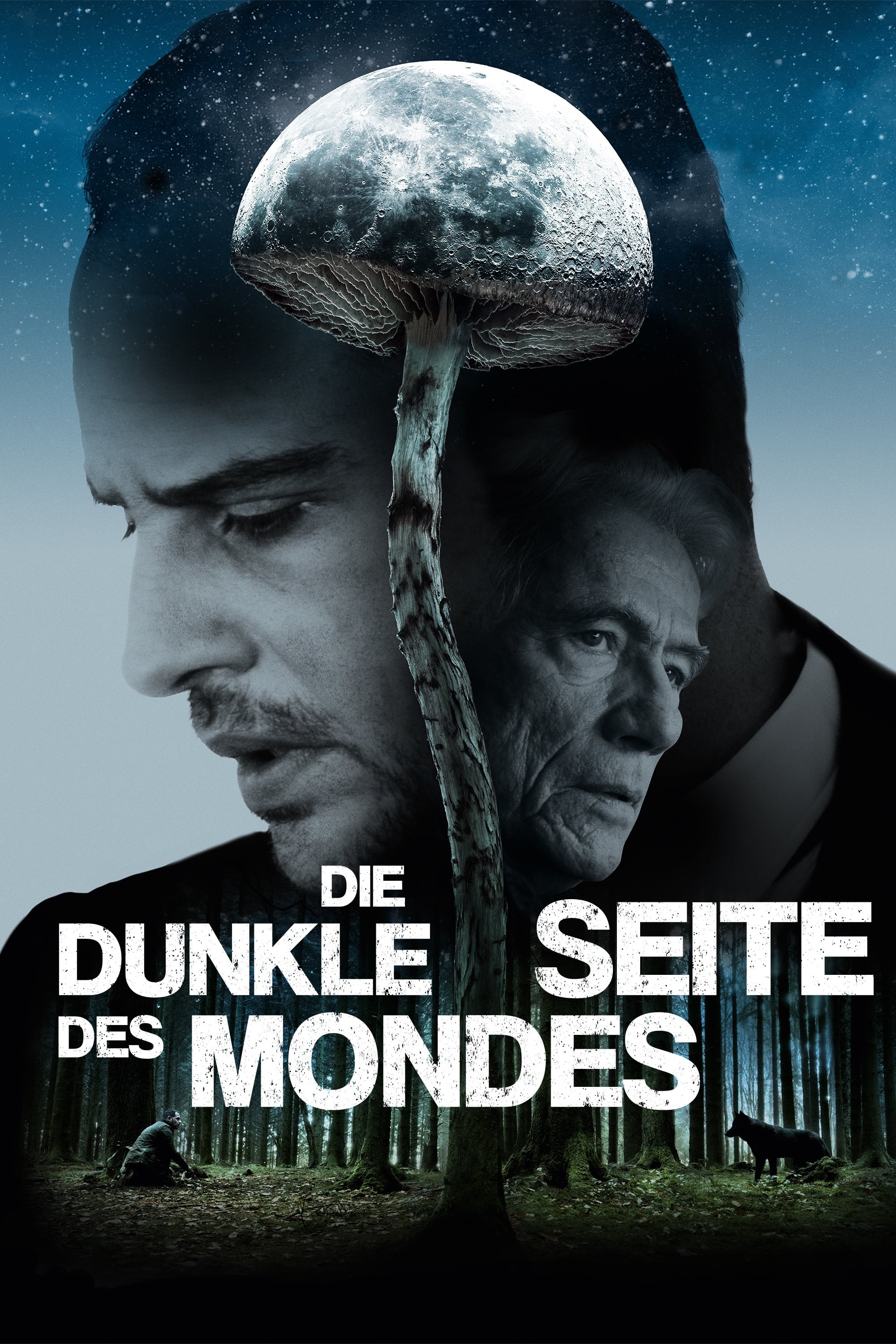 Plakat von "Die dunkle Seite des Mondes"
