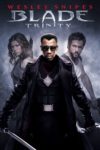Plakat von "Blade: Trinity"