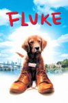 Plakat von "Fluke"