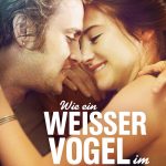 Plakat von "Wie ein weißer Vogel im Schneesturm"