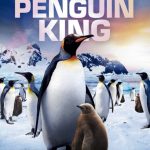 Plakat von "Ein Pinguin kommt selten allein"