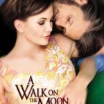 Plakat von "A Walk on the Moon"
