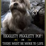 Plakat von "Higglety Pigglety Pop! or There Must Be More to Life"