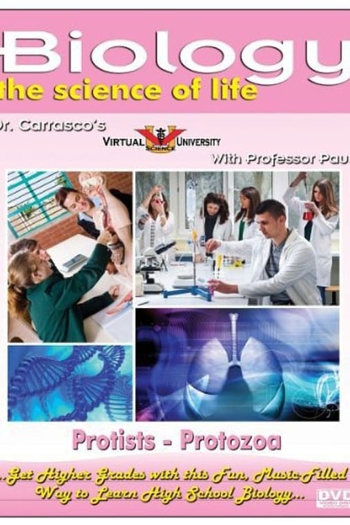 Plakat von "Protozoa"