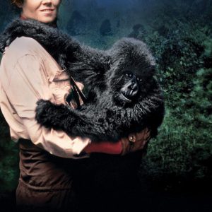 Plakat von "Gorillas im Nebel"