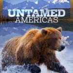 Plakat von "National Geographic: Untamed Americas"