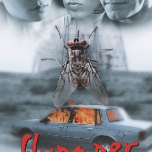 Plakat von "Flypaper"